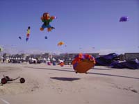 Rencontres Internationales de Berck sur Mer Avril 2008 - 0066