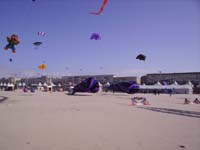 Rencontres Internationales de Berck sur Mer Avril 2008 - 0068