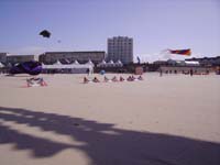 Rencontres Internationales de Berck sur Mer Avril 2008 - 0069