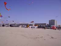 Rencontres Internationales de Berck sur Mer Avril 2008 - 0072