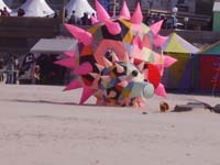 Rencontres Internationales de Berck sur Mer Avril 2008 - 0074