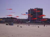 Rencontres Internationales de Berck sur Mer Avril 2008 - 0075