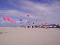Rencontres Internationales de Berck sur Mer Avril 2008 - 0077