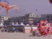 Rencontres Internationales de Berck sur Mer Avril 2008 - 0080