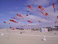 Rencontres Internationales de Berck sur Mer Avril 2008 - 0083