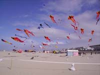 Rencontres Internationales de Berck sur Mer Avril 2008 - 0084