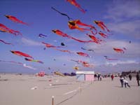 Rencontres Internationales de Berck sur Mer Avril 2008 - 0085