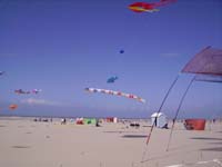 Rencontres Internationales de Berck sur Mer Avril 2008 - 0089