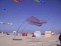 Rencontres Internationales de Berck sur Mer Avril 2008 - 0091