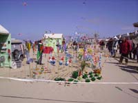 Rencontres Internationales de Berck sur Mer Avril 2008 - 0094