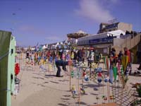 Rencontres Internationales de Berck sur Mer Avril 2008 - 0096