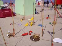 Rencontres Internationales de Berck sur Mer Avril 2008 - 0101