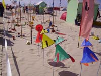 Rencontres Internationales de Berck sur Mer Avril 2008 - 0103