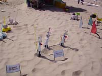 Rencontres Internationales de Berck sur Mer Avril 2008 - 0106
