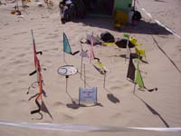 Rencontres Internationales de Berck sur Mer Avril 2008 - 0107