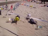 Rencontres Internationales de Berck sur Mer Avril 2008 - 0108