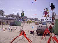 Rencontres Internationales de Berck sur Mer Avril 2008 - 0110