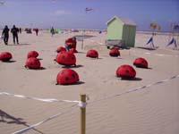 Rencontres Internationales de Berck sur Mer Avril 2008 - 0114