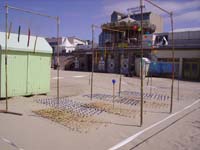 Rencontres Internationales de Berck sur Mer Avril 2008 - 0115
