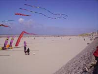 Rencontres Internationales de Berck sur Mer Avril 2008 - 0124