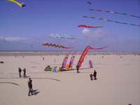 Rencontres Internationales de Berck sur Mer Avril 2008 - 0125