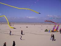 Rencontres Internationales de Berck sur Mer Avril 2008 - 0126
