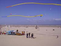 Rencontres Internationales de Berck sur Mer Avril 2008 - 0127