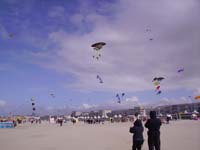 Rencontres Internationales de Berck sur Mer Avril 2008 - 0130