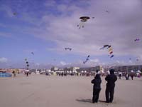 Rencontres Internationales de Berck sur Mer Avril 2008 - 0131