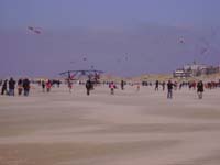 Rencontres Internationales de Berck sur Mer Avril 2008 - 0134