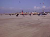 Rencontres Internationales de Berck sur Mer Avril 2008 - 0138