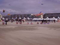 Rencontres Internationales de Berck sur Mer Avril 2008 - 0139