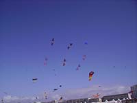 Rencontres Internationales de Berck sur Mer Avril 2008 - 0140