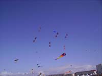 Rencontres Internationales de Berck sur Mer Avril 2008 - 0141