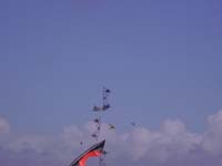 Rencontres Internationales de Berck sur Mer Avril 2008 - 0142