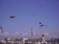 Rencontres Internationales de Berck sur Mer Avril 2008 - 0144