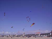 Rencontres Internationales de Berck sur Mer Avril 2008 - 0145