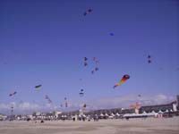 Rencontres Internationales de Berck sur Mer Avril 2008 - 0146