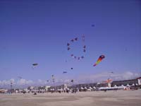 Rencontres Internationales de Berck sur Mer Avril 2008 - 0147