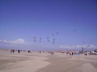 Rencontres Internationales de Berck sur Mer Avril 2008 - 0151