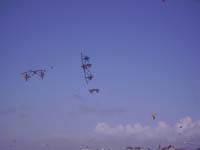 Rencontres Internationales de Berck sur Mer Avril 2008 - 0152