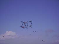 Rencontres Internationales de Berck sur Mer Avril 2008 - 0156