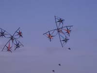 Rencontres Internationales de Berck sur Mer Avril 2008 - 0158