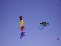 Rencontres Internationales de Berck sur Mer Avril 2008 - 0161