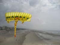 Aka Kite Flowform Miztral