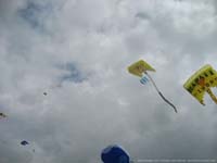 KAP Trophy - Photo B.Tondellier (12)