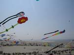 Berck_2009 (10)