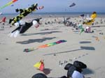 Berck_2009 (11)