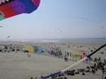 Berck_2009 (12)