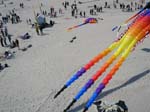 Berck_2009 (14)